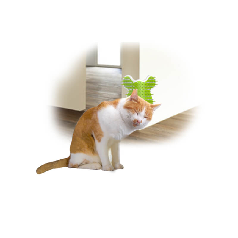 All For Paws stenska kotna krtača - 11 x 4,9 x 1,6 cm (3)