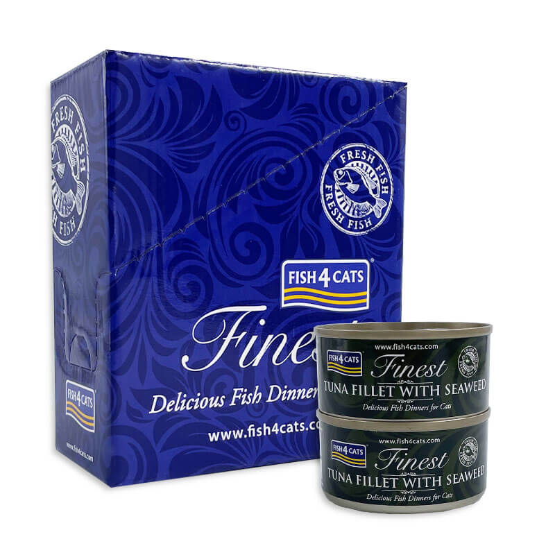 Fish4Cats file tune z morskimi algami