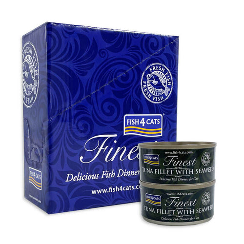 Fish4Cats file tune z morskimi algami