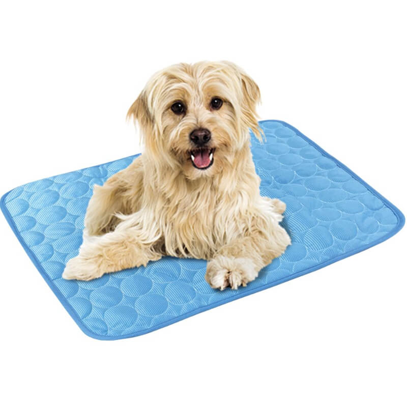 Nobby Light samohladilna podloga za psa ali mačko - svetlo modra