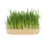 Bloomy trava za glodalce, 100 g