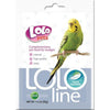Lolo