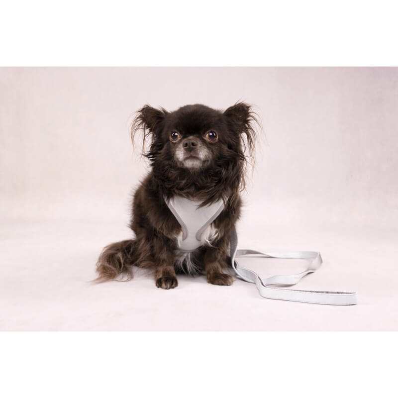 Flamingo Small Dog povodec Antique, mint - 1,5 cm / 120 cm (4)