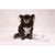 Flamingo Small Dog povodec Antique, mint - 1,5 cm / 120 cm (4)