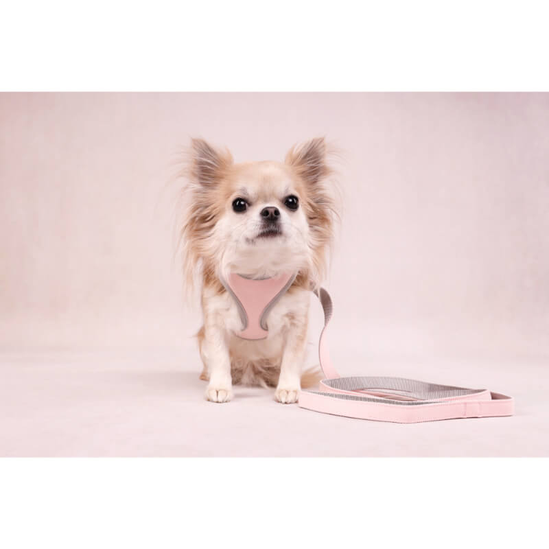 Flamingo Small Dog povodec Antique, roza - 1,5 cm / 120 cm (3)