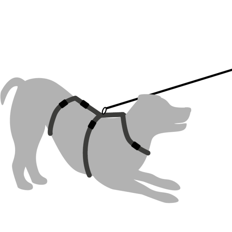 Ferplast oprsnica Brave M, rjava - 38-58 cm / 44-74 cm / 38-60 cm / 20-32 cm (3)