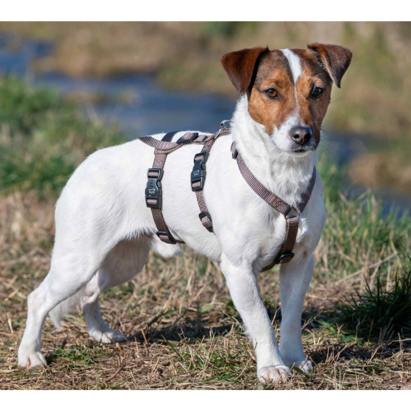 Ferplast oprsnica Brave L, rjava - 54-86 cm / 58-102 cm / 51-86 cm / 23-39 cm (4)