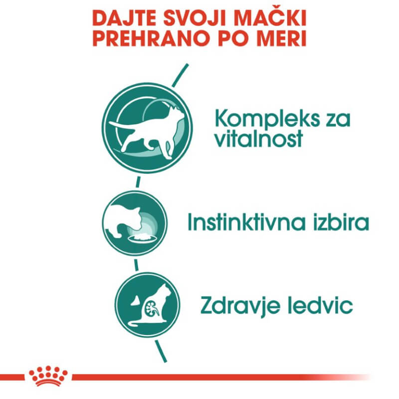 D&D Home keramična posoda Jasper, marmorno zelena - 13 x 4,4 cm / 350 ml (3)