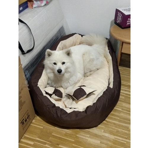 Mr.Pet spletna trgovina