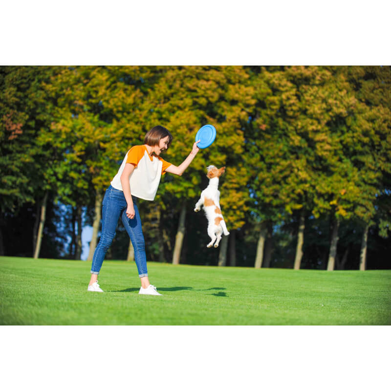 PitchDog frizbi iz vzdržljive pene, moder - 24 cm (5)