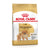 Royal Canin Pomeranian Adult - 1,5 kg