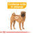 Royal Canin Medium Adult Dermacomfort - 12 kg (3)