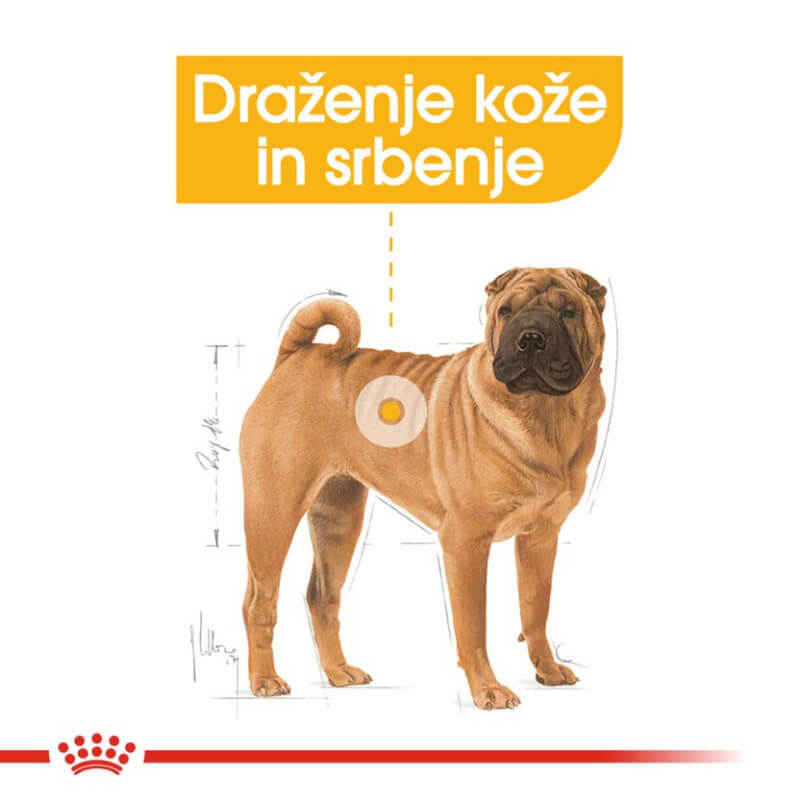 Royal Canin Medium Adult Dermacomfort - 12 kg (3)