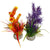 Sydeco dekor Aquaplant Color Medium (2)