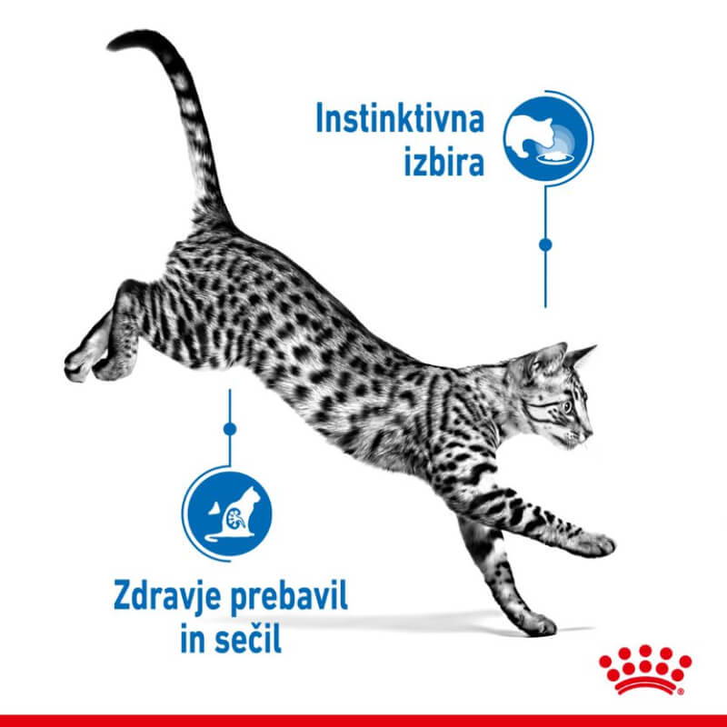Royal Canin Adult Indoor Sterilised - omaka (3)