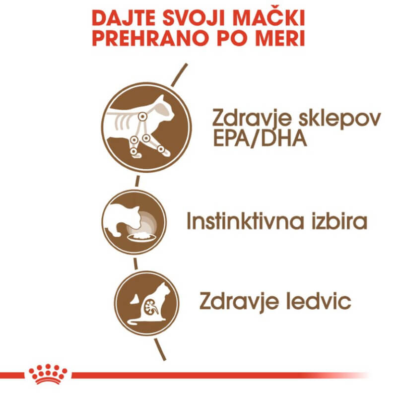 Royal Canin Ageing (12+) - omaka (3)