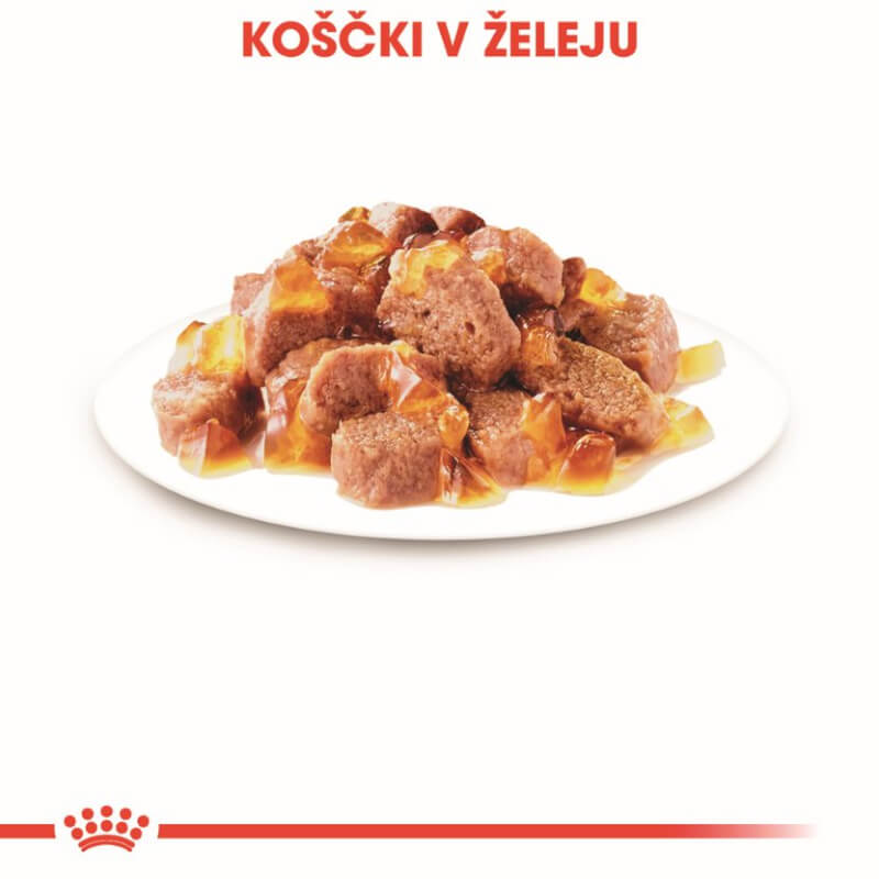 Royal Canin Adult Ultra Light - žele (2)