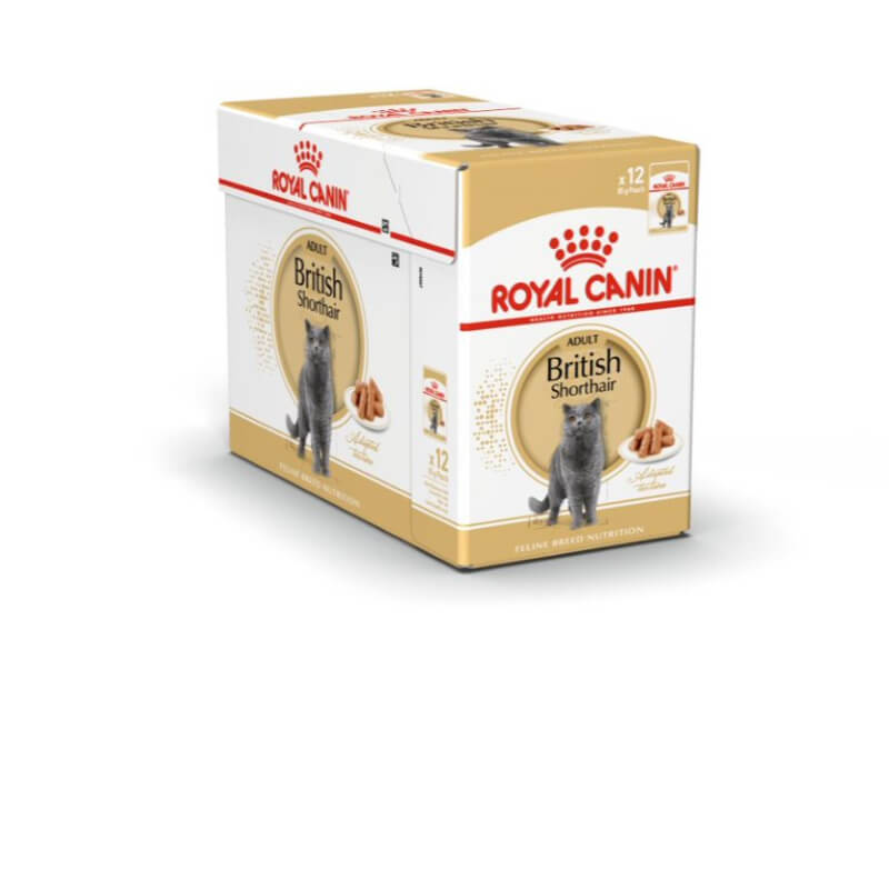Royal Canin British Shorthair Adult - omaka - 12 x 85 g