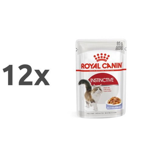 Royal Canin Adult Instinctive - žele - 12 x 85 g