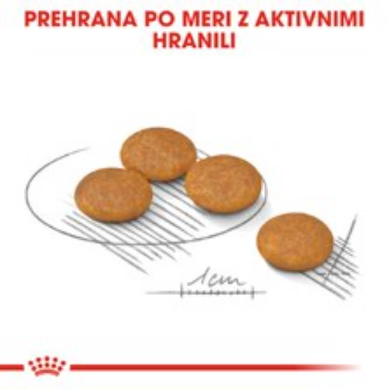 Royal Canin Mini Adult Dermacomfort (2)
