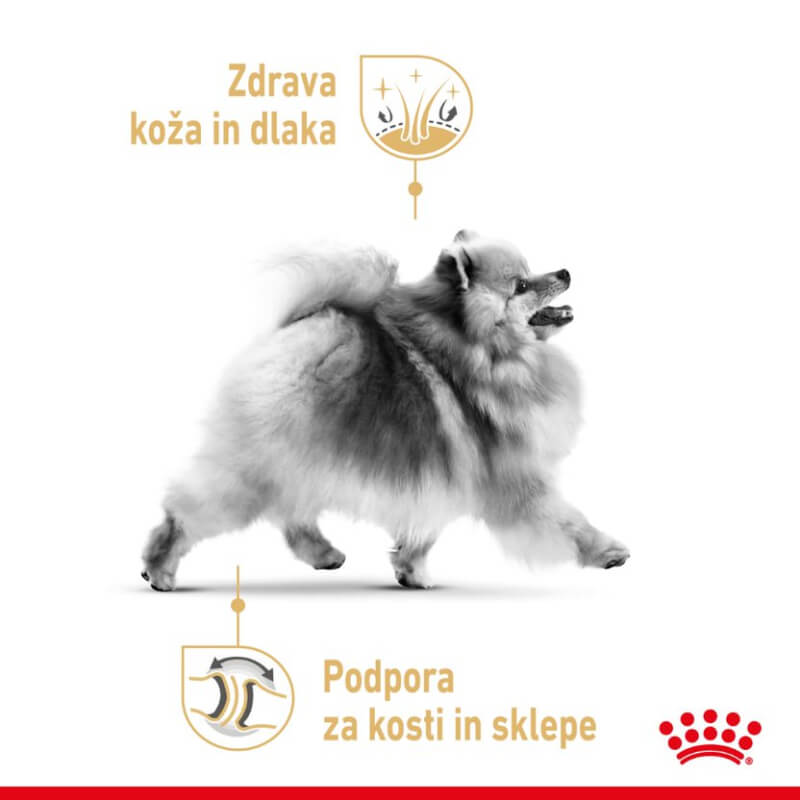 Royal Canin Pomeranian Adult (3)