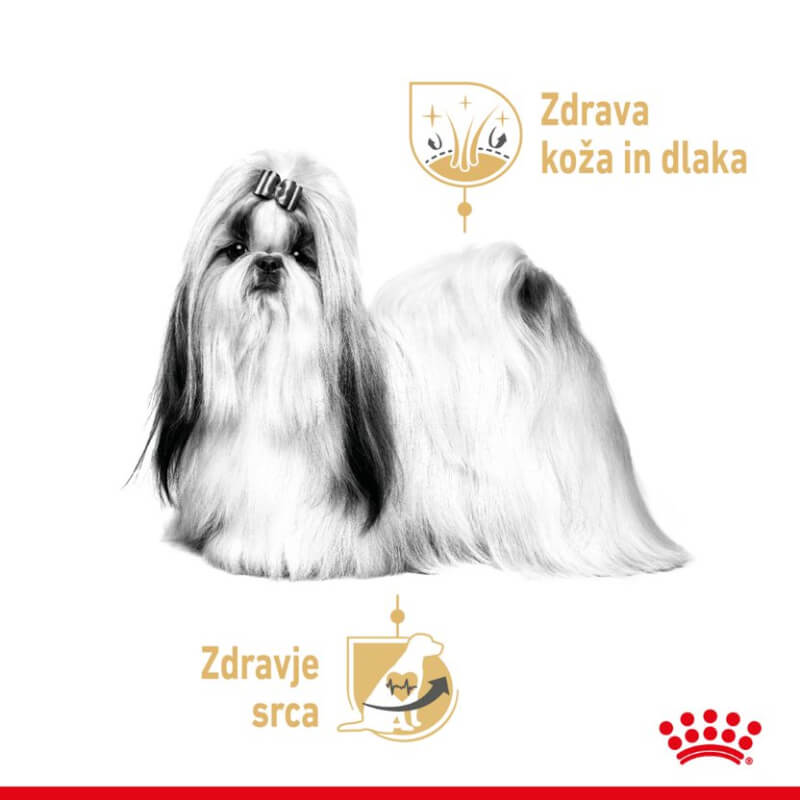 Royal Canin Adult Shih Tzu - pašteta (3)