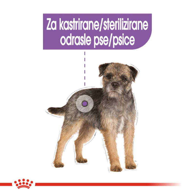 Royal Canin Adult Sterilised - pašteta (3)