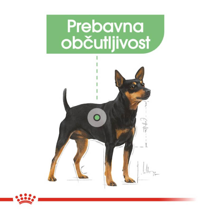 Royal Canin Adult Digestive care - pašteta (3)