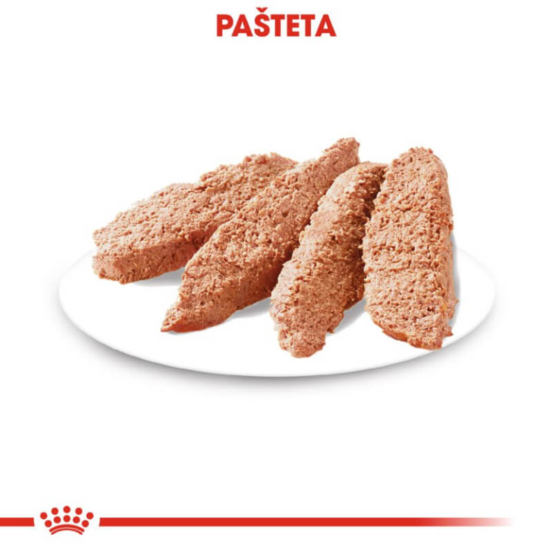 Royal Canin Adult Dermacomfort - pašteta (2)