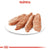 Royal Canin Adult Dermacomfort - pašteta (2)