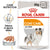Royal Canin Adult Coat Care - pašteta