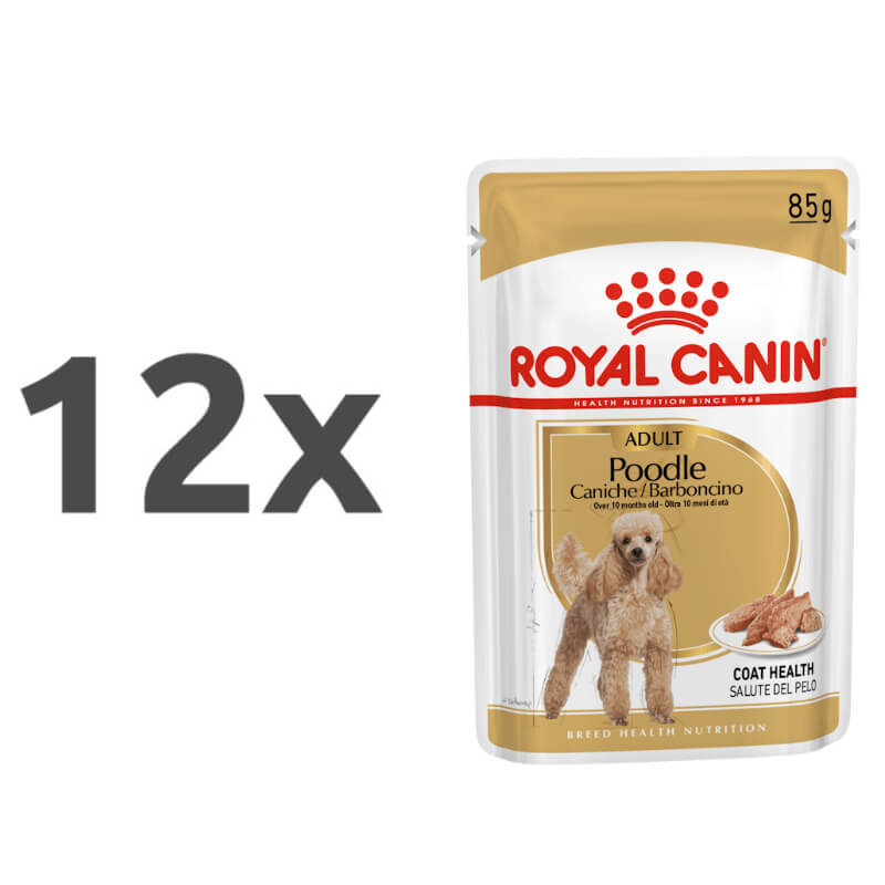 Royal Canin Adult Poodle - pašteta - 12 x 85 g