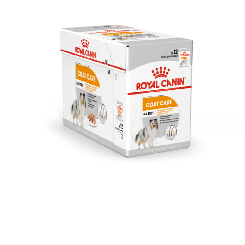 Royal Canin Adult Coat Care - pašteta - 12 x 85 g