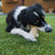 Nobby TPR igrača Peanut z aromo arašidov - 11 cm (3)