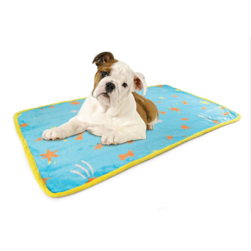 All For Paws Pups plišasta odeja - 122 x 76 cm (2)