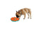 All For Paws Lick'A'Disk podloga Lick Mat - 18,2 x 18,2 x 4,5 cm (5)