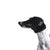 All For Paws Calming Pals Snood pomiritveni trak za ušesa - črn - 30 cm