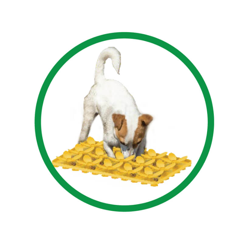 All For paws Dig It! noskalna in Lick Mat podloga, cvetlice - 33 x 20 cm (2)