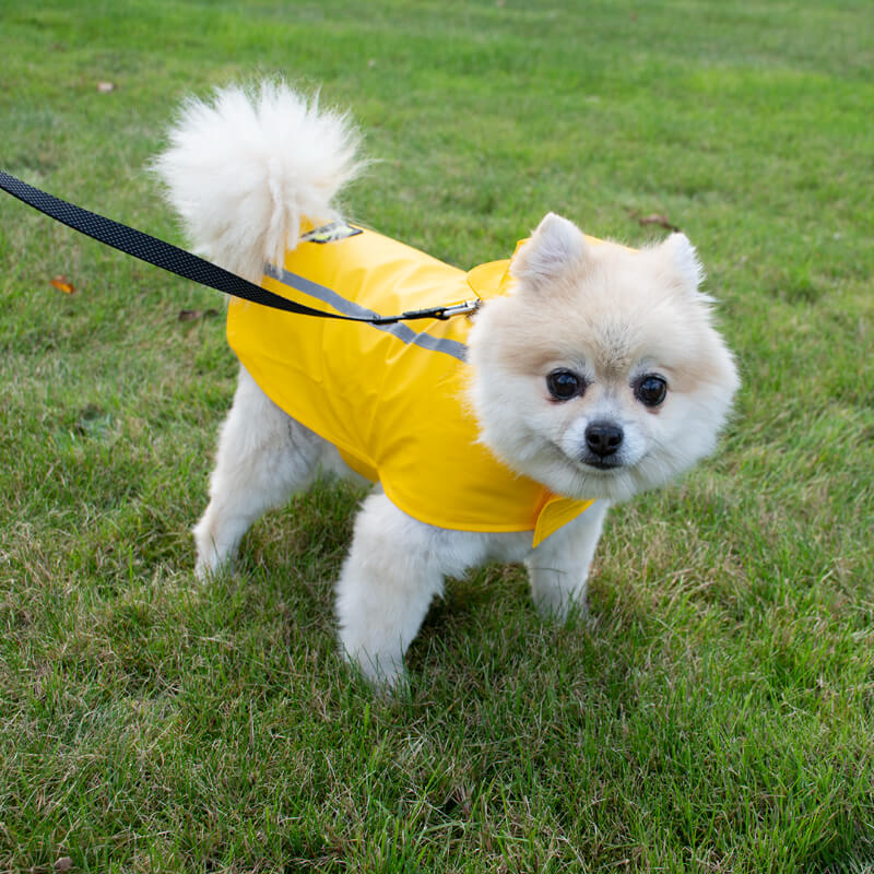 Duvo reflektivni dežni plašč - rumen (2)