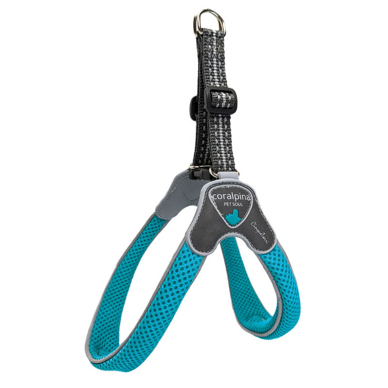 Coralpina oprsnica Cinquetorri - turkizna - različne velikosti - 30 - 40 cm