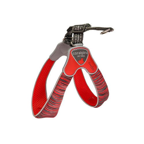 Coralpina oprsnica Powermix - rdeča - različne velikosti - 20 - 30 cm