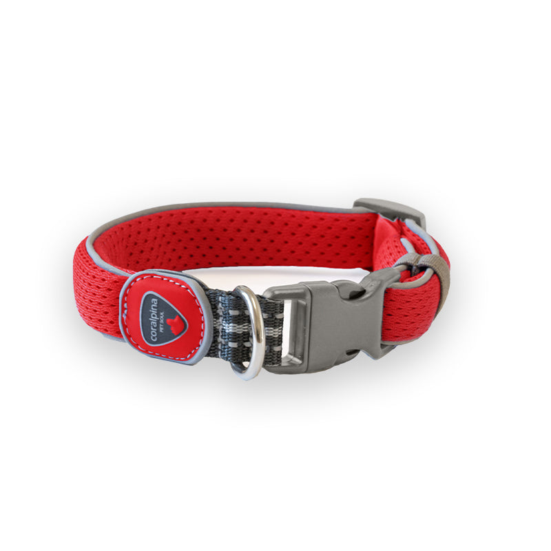 Coralpina ovratnica Cinquetorri - rdeča - različne velikosti - 25 - 30 cm