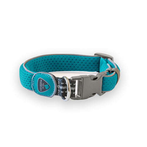 Coralpina ovratnica Cinquetorri - turkizna - različne velikosti - 34 - 42 cm