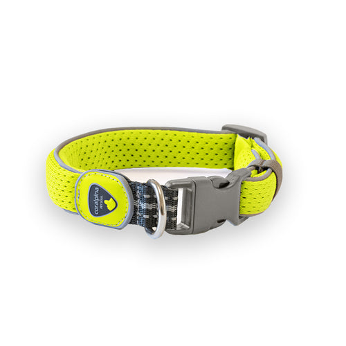 Coralpina ovratnica Cinquetorri - rumena - različne velikosti - 25 - 30 cm