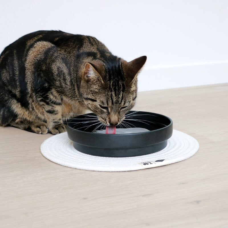 HappyCats keramična posodica Ace, črna - 850 ml / 20 x 20 x 4,5 cm (2)