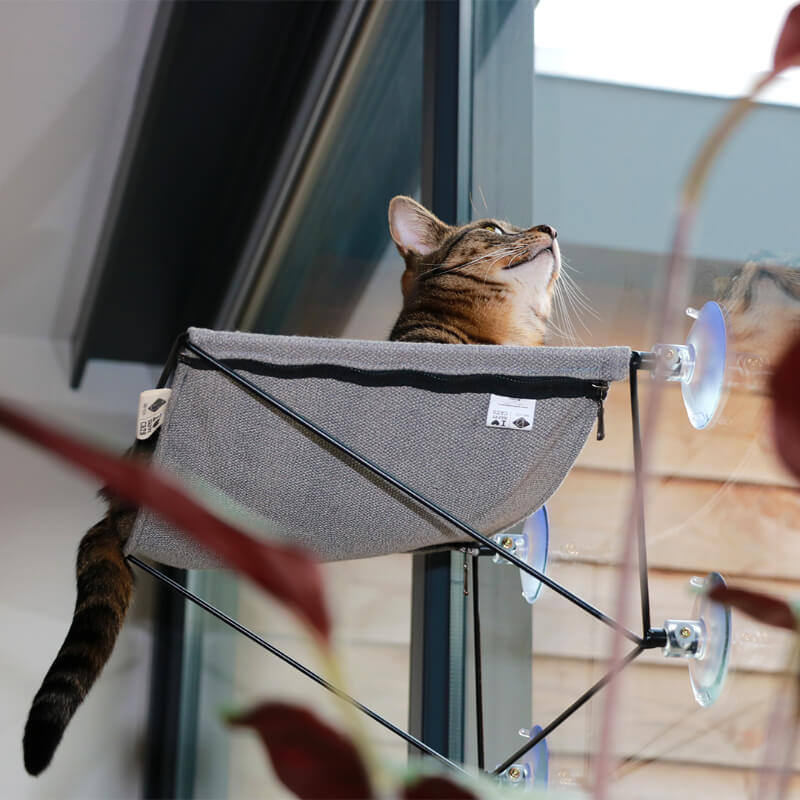 HappyCats ležišče s priseski za steklo iz blaga Olivia, sivo - 45 x 30 x 20 cm (2)