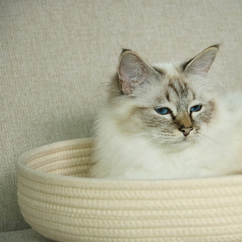 HappyCats okrogla košara iz bombažne vrvi Jess, bež - 45 cm (2)