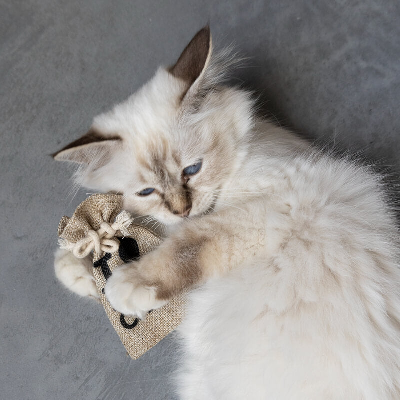 HappyCats vrečka z mešanico zelišč za mačke - 12 x 8 x 1 cm (3)