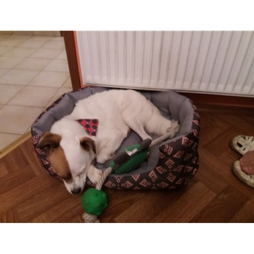Mr.Pet spletna trgovina