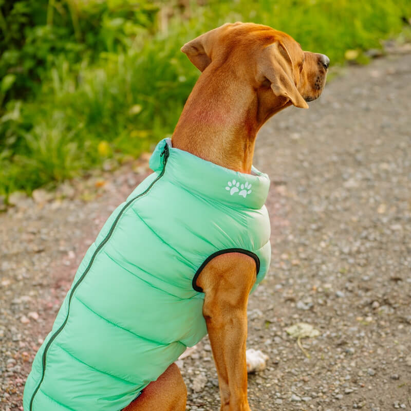 Nobby plašč Light, zelen in siv (3)